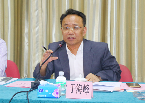 图为于海峰代表专家组在反馈会上讲话