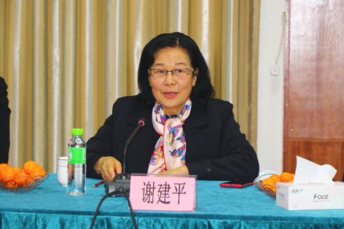 图为谢建平致辞