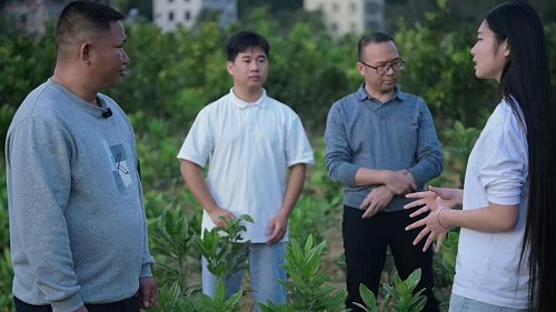 我校师生在旺垌村调研中.jpg 我校师生在旺垌村调研中.jpg